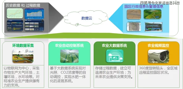 共享双胞胎齐娜：如何通过现代科技和社会实践推动双胞胎共享的理念与实际应用，实现家庭与社会的和谐发展