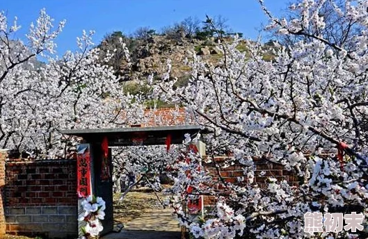 俺来也五月香：一场春季盛宴，花海绽放引发全城热潮，市民纷纷前来感受自然魅力！